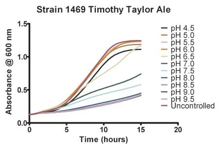 pH值对1469株蒂莫西·泰勒啤酒酵母生长的影响。