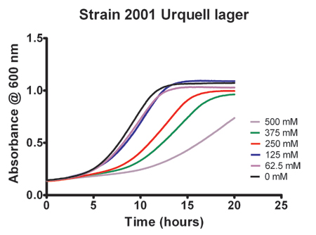 氯化钠对2001株Urquell啤酒酵母菌生长的影响。