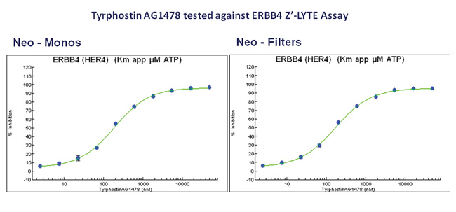 Tyrphostin AG1478抗ERBB4 Z’-LYTE试验