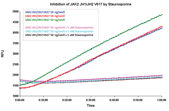 staaurosporine对JAK2 JH1/JH2 B617的抑制作用