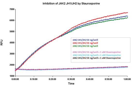 staaurosporine对JAK2 JH1/JH2的抑制作用