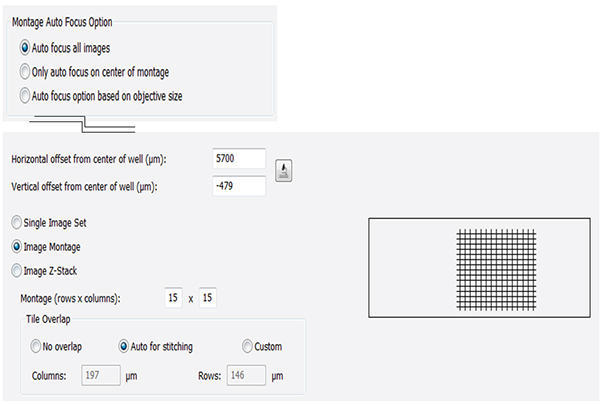 一个x-y偏移、对焦设置、蒙太奇和拼接选项的示例，用于在Cytation 5上以4倍彩色亮场对一批8个不同面板尺寸的tma进行连续成像。