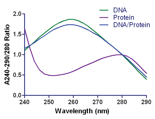 DNA、RNA和蛋白质的典型吸收光谱，核酸的峰值约为260 nm，蛋白质的峰值约为280 nm。