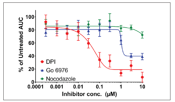 细胞抑制剂对PMA刺激dHL60细胞的影响。