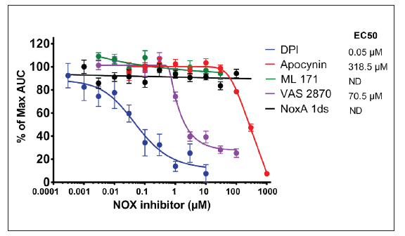 NADPH氧化酶抑制剂对dHL60细胞PMA刺激的影响。