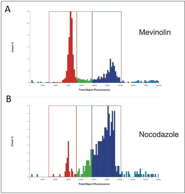 Mevinolin和Nocodazole处理PC-3细胞的核染色直方图分析。